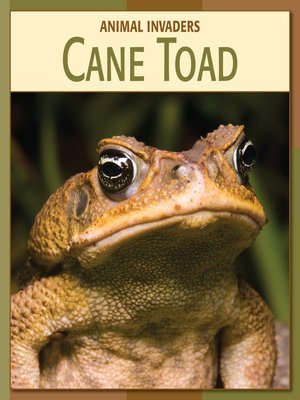 cover image of Cane Toad